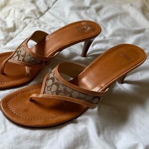 DISO‼️‼️‼️‼️